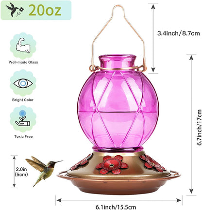 Hummingbird Feeders for Outdoors Hanging, Glass Hummingbird Feeder, Wild Bird Feeder with Five Feeding Ports, 20 Ounces, 2 Pack, Purple and Blue, Birthday Gifts for Women Men, Gifts for Mom Dad